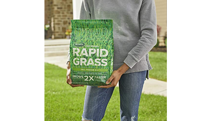Scotts Turf Builder Rapid Grass Tall Fescue Mix, Combination Seed and ...