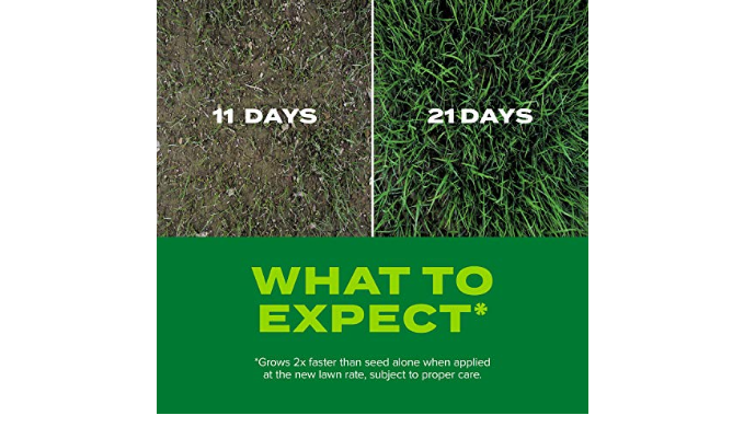 Scotts Turf Builder Rapid Grass Tall Fescue Mix, Combination Seed and ...