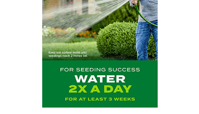 Scotts Turf Builder Rapid Grass Tall Fescue Mix, Combination Seed and ...