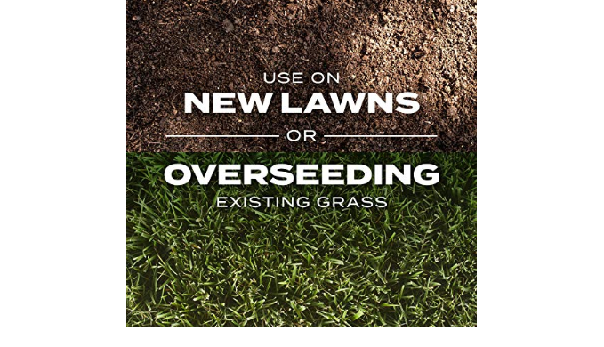 Scotts Turf Builder Rapid Grass Tall Fescue Mix, Combination Seed and ...